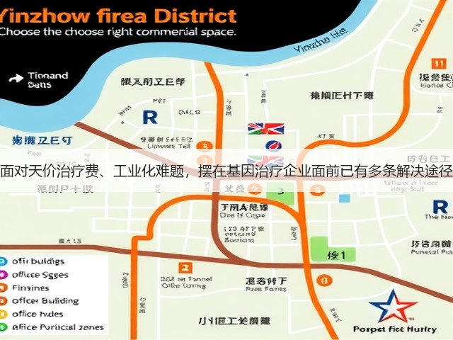面对天价治疗费、工业化难题,摆在基因治疗企业面前已有多条解决途径(图2) 面对天价治疗费、工业化难题,摆在基因治疗企业面前已有多条解决途径(图2)
