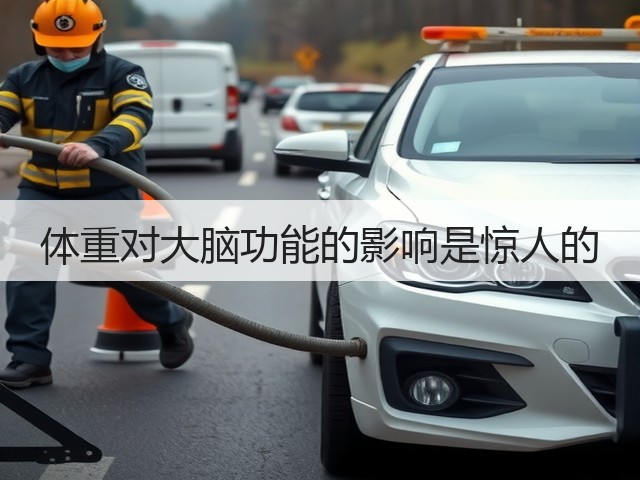 体重对大脑功能的影响是惊人的(图1)