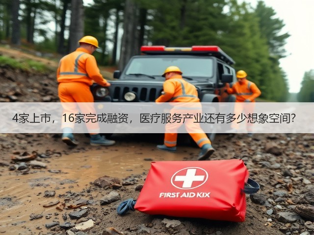4家上市,16家完成融资,医疗服务产业还有多少想象空间?(图3) 4家上市,16家完成融资,医疗服务产业还有多少想象空间?(图3)