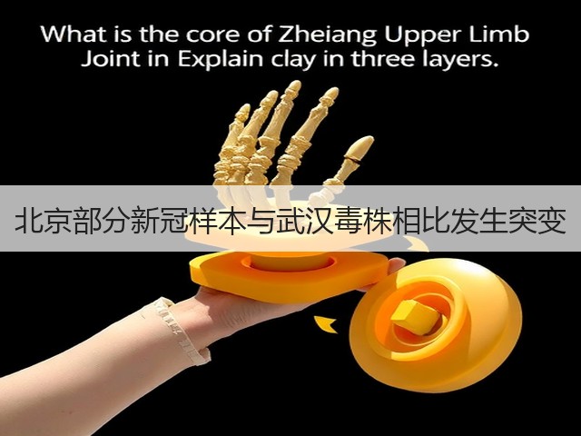 北京部分新冠样本与武汉毒株相比发生突变(图3) 北京部分新冠样本与武汉毒株相比发生突变(图3)
