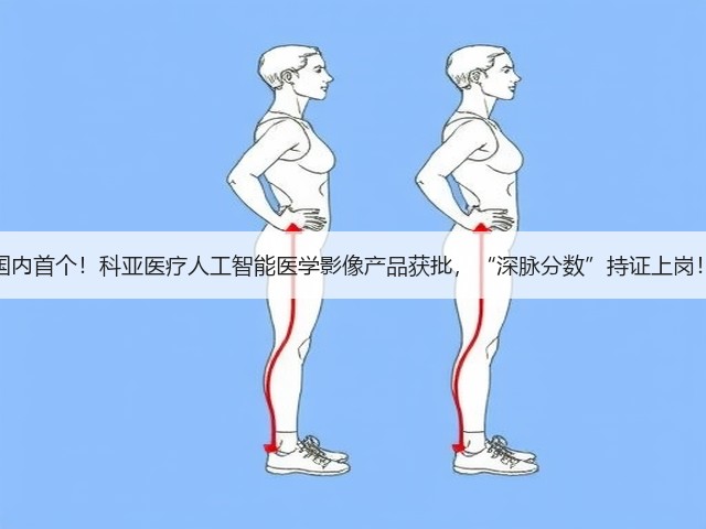 国内首个!科亚医疗人工智能医学影像产品获批,“深脉分数”持证上岗!(图2) 国内首个!科亚医疗人工智能医学影像产品获批,“深脉分数”持证上岗!(图2)
