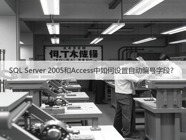 SQL Server 2005和Access中如何设置自动编号字段?(图2) SQL Server 2005和Access中如何设置自动编号字段?(图2)