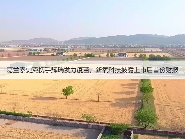 葛兰素史克携手辉瑞发力疫苗，新氧科技披露上市后首份财报(图3)