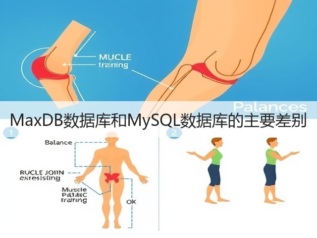 MaxDB数据库和MySQL数据库的主要差别(图1) MaxDB数据库和MySQL数据库的主要差别(图1)