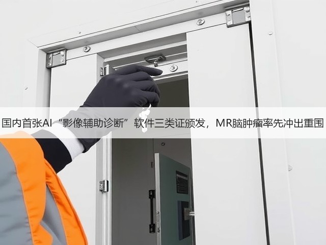 国内首张AI“影像辅助诊断”软件三类证颁发，MR脑肿瘤率先冲出重围(图2)