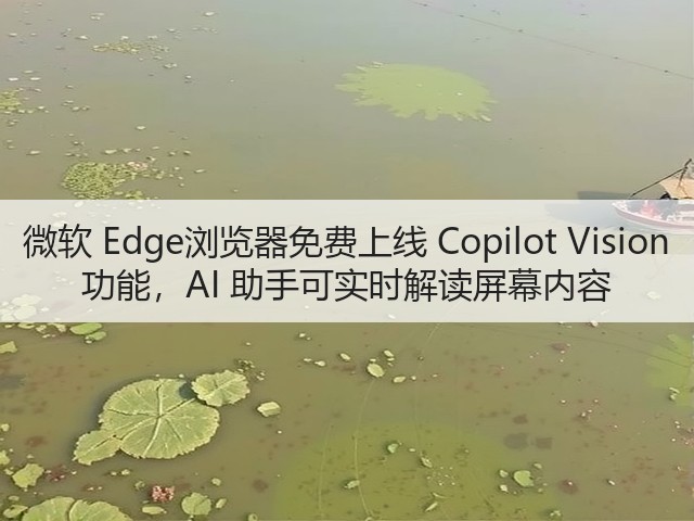 微软 Edge浏览器免费上线 Copilot Vision 功能，AI 助手可实时解读屏幕内容(图2)