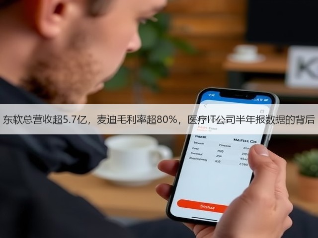东软总营收超5.7亿,麦迪毛利率超80%,医疗IT公司半年报数据的背后(图2) 东软总营收超5.7亿,麦迪毛利率超80%,医疗IT公司半年报数据的背后(图2)