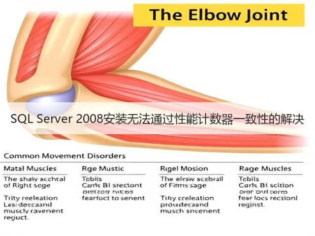 SQL Server 2008安装无法通过性能计数器一致性的解决(图3) SQL Server 2008安装无法通过性能计数器一致性的解决(图3)