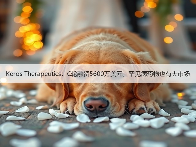 Keros Therapeutics:C轮融资5600万美元,罕见病药物也有大市场(图3) Keros Therapeutics:C轮融资5600万美元,罕见病药物也有大市场(图3)
