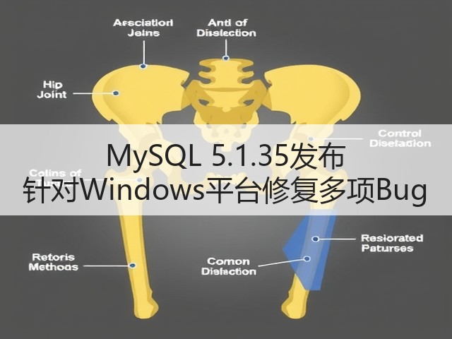 MySQL 5.1.35发布 针对Windows平台修复多项Bug(图2) MySQL 5.1.35发布 针对Windows平台修复多项Bug(图2)