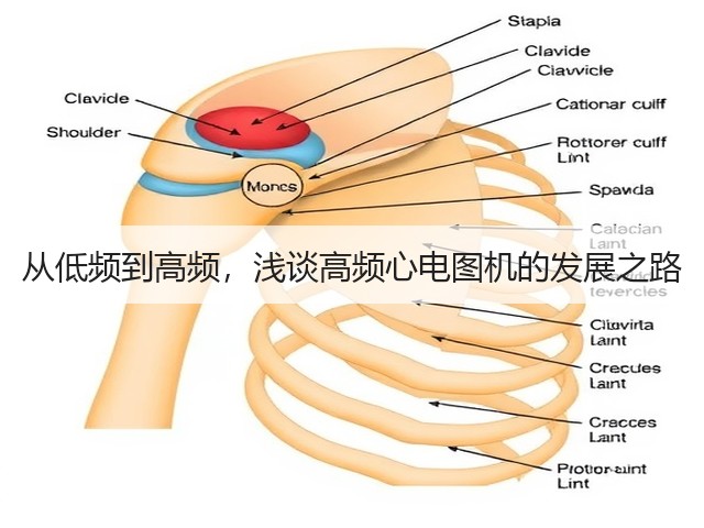 从低频到高频,浅谈高频心电图机的发展之路(图2) 从低频到高频,浅谈高频心电图机的发展之路(图2)