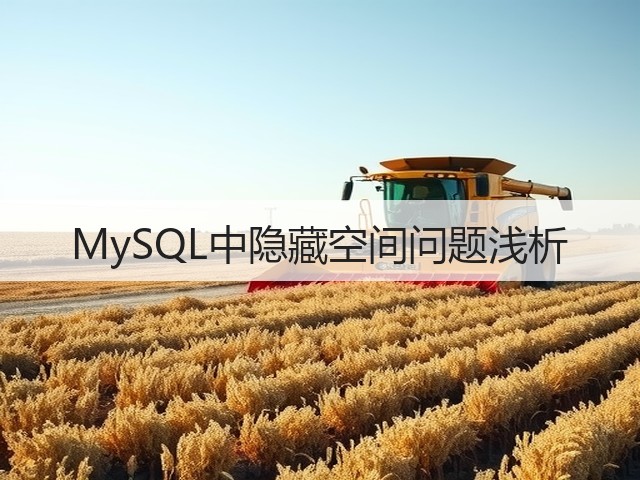 MySQL中隐藏空间问题浅析(图2)