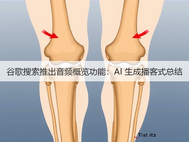 谷歌搜索推出音频概览功能:AI 生成播客式总结(图1) 谷歌搜索推出音频概览功能:AI 生成播客式总结(图1)