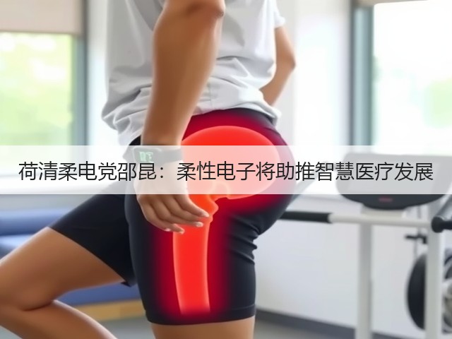 荷清柔电党邵昆:柔性电子将助推智慧医疗发展(图1) 荷清柔电党邵昆:柔性电子将助推智慧医疗发展(图1)
