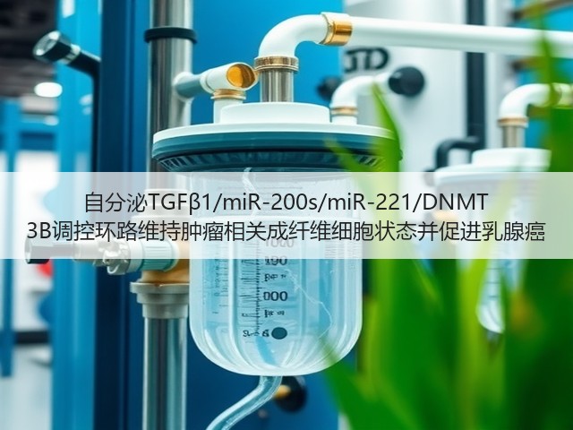 自分泌TGFβ1/miR-200s/miR-221/DNMT 3B调控环路维持肿瘤相关成纤维细胞状态并促进乳腺癌(图1) 自分泌TGFβ1/miR-200s/miR-221/DNMT 3B调控环路维持肿瘤相关成纤维细胞状态并促进乳腺癌(图1)