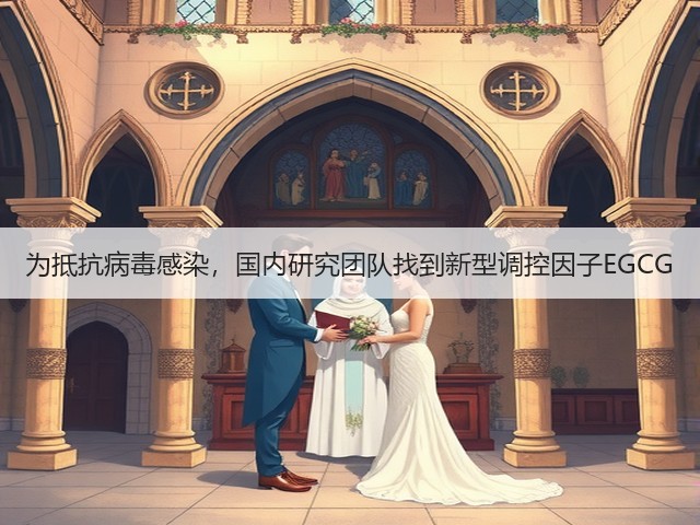 为抵抗病毒感染,国内研究团队找到新型调控因子EGCG(图2) 为抵抗病毒感染,国内研究团队找到新型调控因子EGCG(图2)