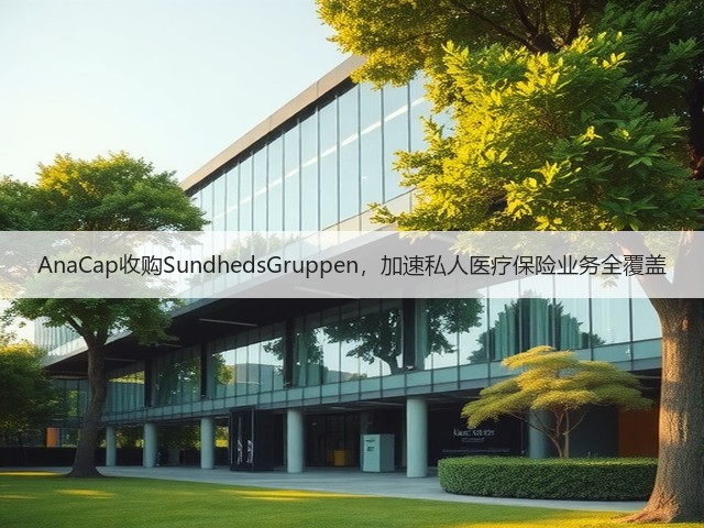 AnaCap收购SundhedsGruppen,加速私人医疗保险业务全覆盖(图3) AnaCap收购SundhedsGruppen,加速私人医疗保险业务全覆盖(图3)