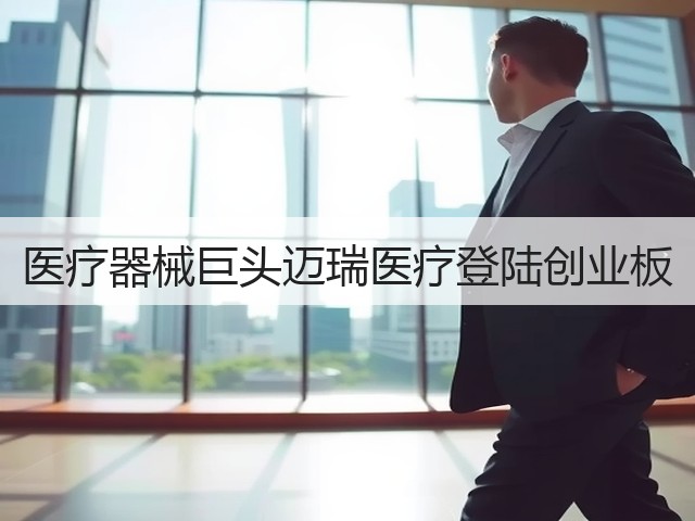医疗器械巨头迈瑞医疗登陆创业板(图2)