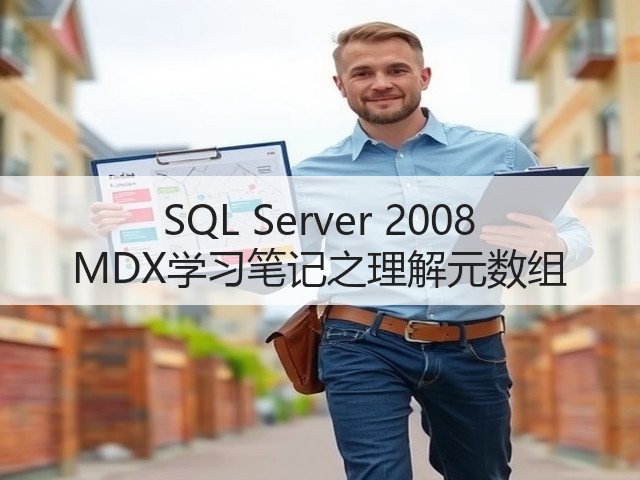 SQL Server 2008 MDX学习笔记之理解元数组(图3) SQL Server 2008 MDX学习笔记之理解元数组(图3)