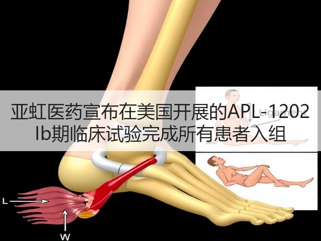 亚虹医药宣布在美国开展的APL-1202 Ib期临床试验完成所有患者入组(图3)