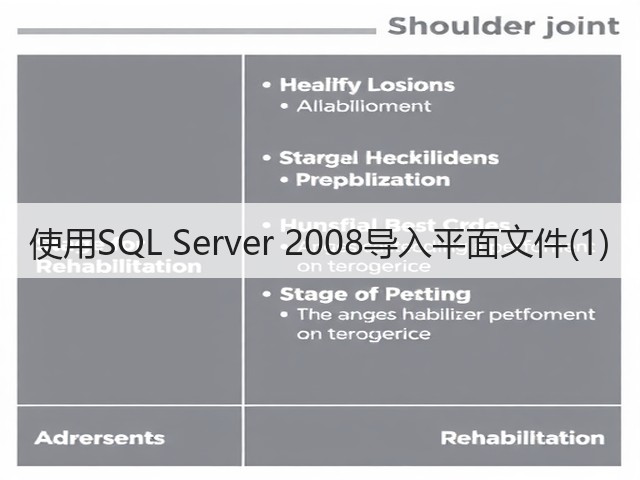 使用SQL Server 2008导入平面文件(1)(图2) 使用SQL Server 2008导入平面文件(1)(图2)