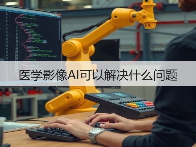 医学影像AI可以解决什么问题(图1) 医学影像AI可以解决什么问题(图1)