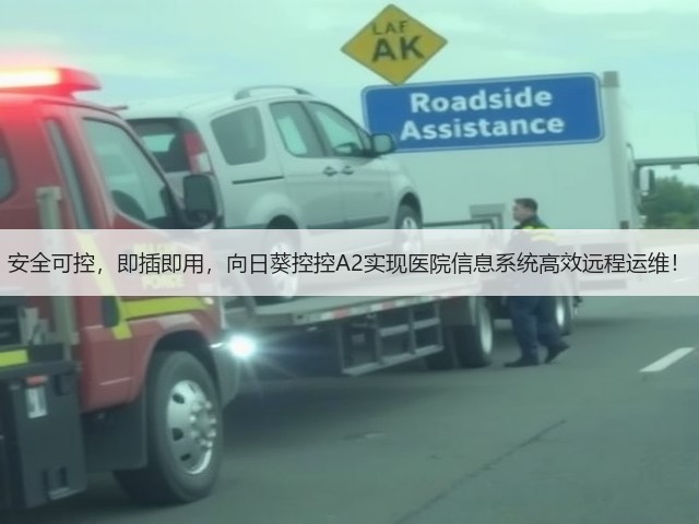 安全可控，即插即用，向日葵控控A2实现医院信息系统高效远程运维！(图3)