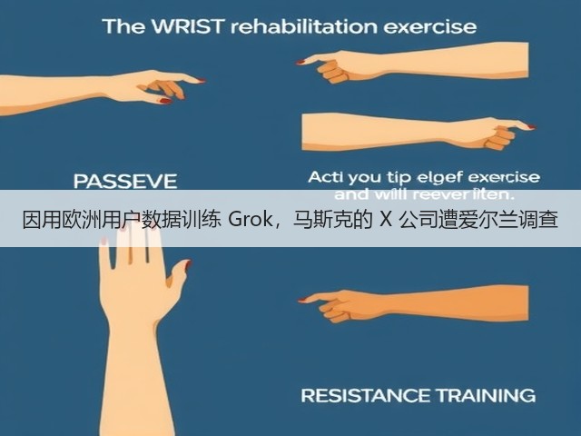 因用欧洲用户数据训练 Grok,马斯克的 X 公司遭爱尔兰调查(图3) 因用欧洲用户数据训练 Grok,马斯克的 X 公司遭爱尔兰调查(图3)