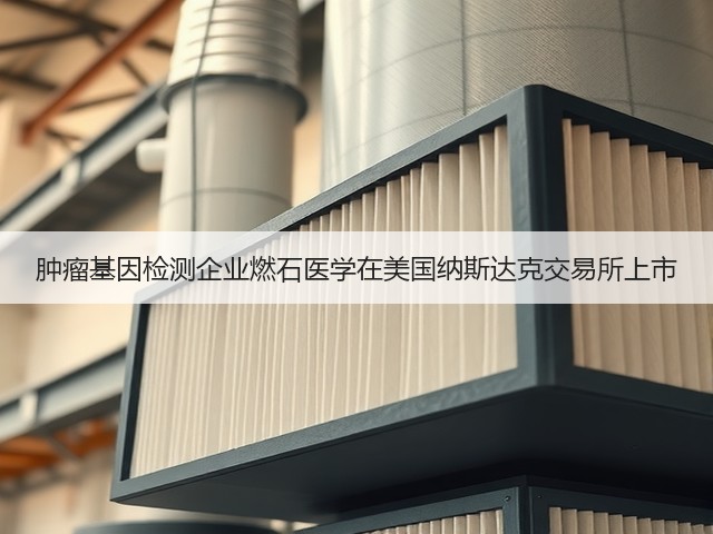 肿瘤基因检测企业燃石医学在美国纳斯达克交易所上市(图2) 肿瘤基因检测企业燃石医学在美国纳斯达克交易所上市(图2)