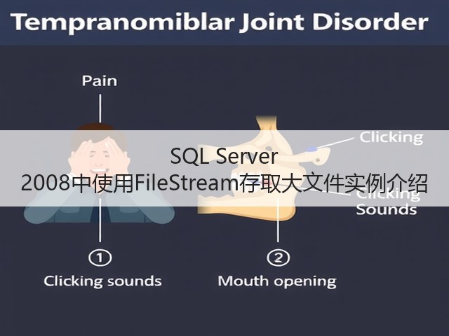 SQL Server 2008中使用FileStream存取大文件实例介绍(图2) SQL Server 2008中使用FileStream存取大文件实例介绍(图2)