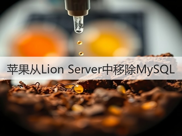 苹果从Lion Server中移除MySQL(图1) 苹果从Lion Server中移除MySQL(图1)