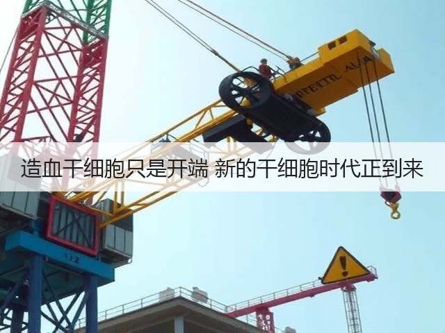 造血干细胞只是开端 新的干细胞时代正到来(图3) 造血干细胞只是开端 新的干细胞时代正到来(图3)