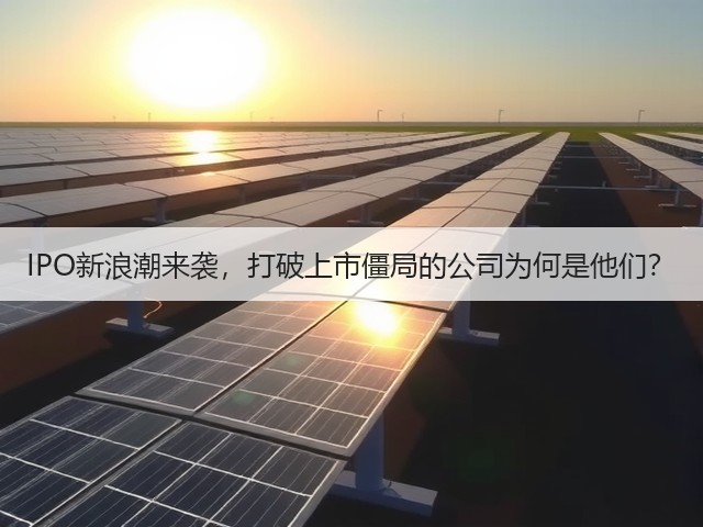 IPO新浪潮来袭,打破上市僵局的公司为何是他们?(图3) IPO新浪潮来袭,打破上市僵局的公司为何是他们?(图3)
