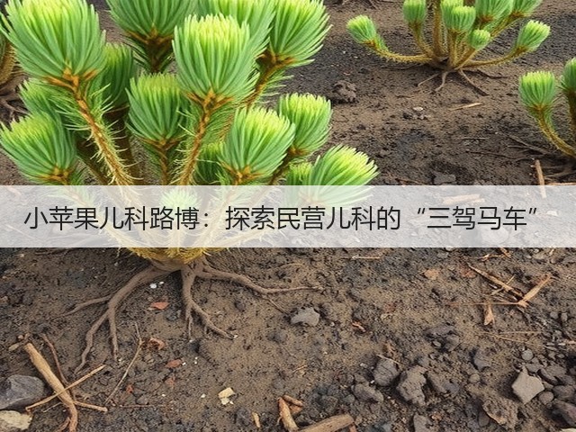 小苹果儿科路博:探索民营儿科的“三驾马车”(图3) 小苹果儿科路博:探索民营儿科的“三驾马车”(图3)