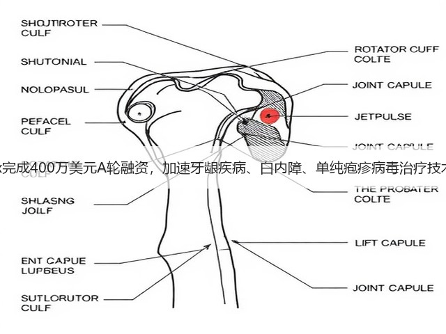 Livionex完成400万美元A轮融资，加速牙龈疾病、白内障、单纯疱疹病毒治疗技术的研发(图2)