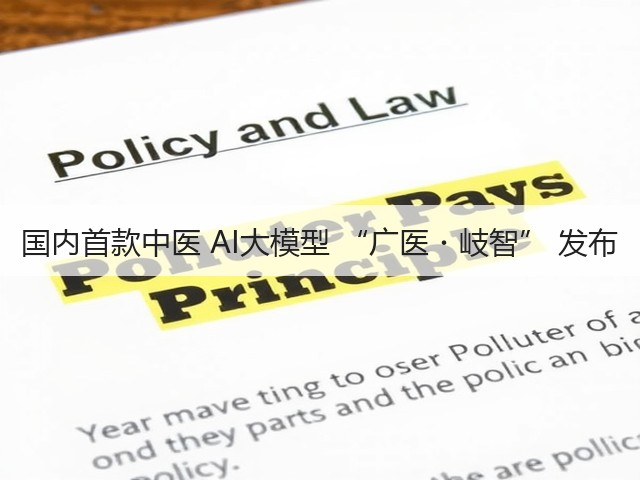 国内首款中医 AI大模型 “广医・岐智” 发布(图1)