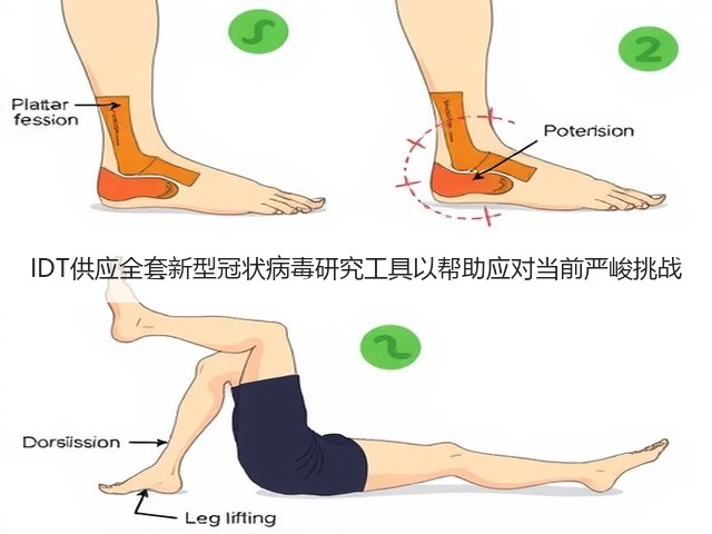IDT供应全套新型冠状病毒研究工具以帮助应对当前严峻挑战(图3) IDT供应全套新型冠状病毒研究工具以帮助应对当前严峻挑战(图3)