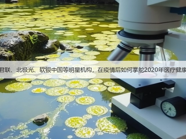 红杉、君联、北极光、软银中国等明星机构,在疫情后如何掌舵2020年医疗健康投资?(图2) 红杉、君联、北极光、软银中国等明星机构,在疫情后如何掌舵2020年医疗健康投资?(图2)