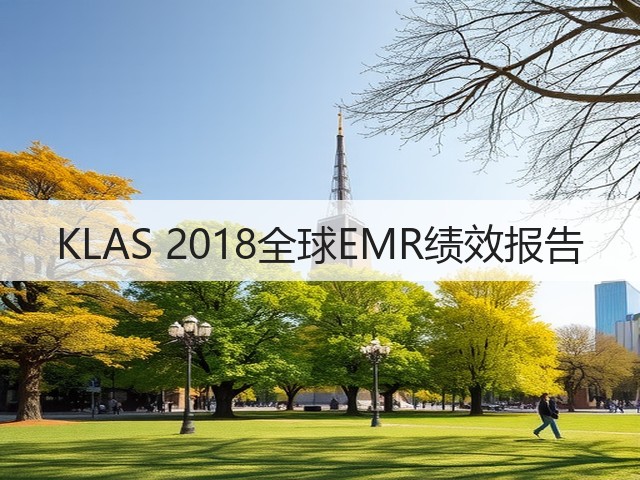 KLAS 2018全球EMR绩效报告(图3) KLAS 2018全球EMR绩效报告(图3)