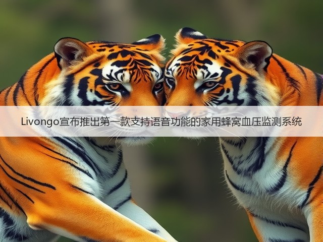 Livongo宣布推出第一款支持语音功能的家用蜂窝血压监测系统(图3) Livongo宣布推出第一款支持语音功能的家用蜂窝血压监测系统(图3)