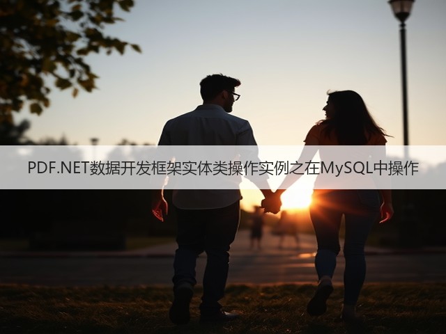 PDF.NET数据开发框架实体类操作实例之在MySQL中操作(图3) PDF.NET数据开发框架实体类操作实例之在MySQL中操作(图3)