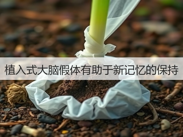 植入式大脑假体有助于新记忆的保持(图3)