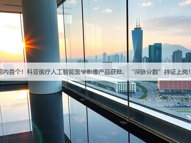 国内首个!科亚医疗人工智能医学影像产品获批,“深脉分数”持证上岗!(图3) 国内首个!科亚医疗人工智能医学影像产品获批,“深脉分数”持证上岗!(图3)
