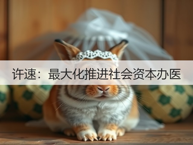 许速：最大化推进社会资本办医(图2)