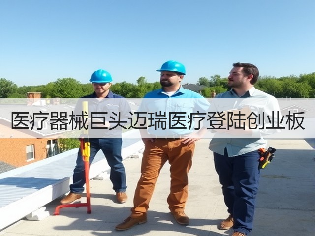 医疗器械巨头迈瑞医疗登陆创业板(图3)