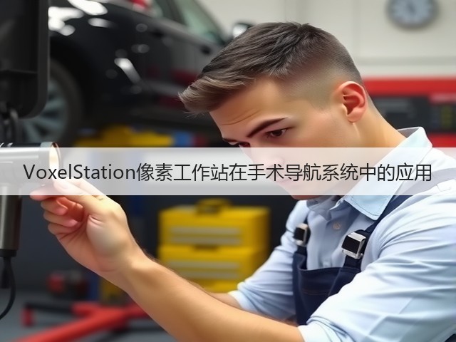 VoxelStation像素工作站在手术导航系统中的应用(图3) VoxelStation像素工作站在手术导航系统中的应用(图3)