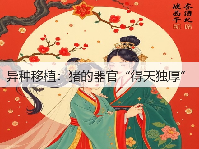 异种移植:猪的器官“得天独厚”(图1) 异种移植:猪的器官“得天独厚”(图1)