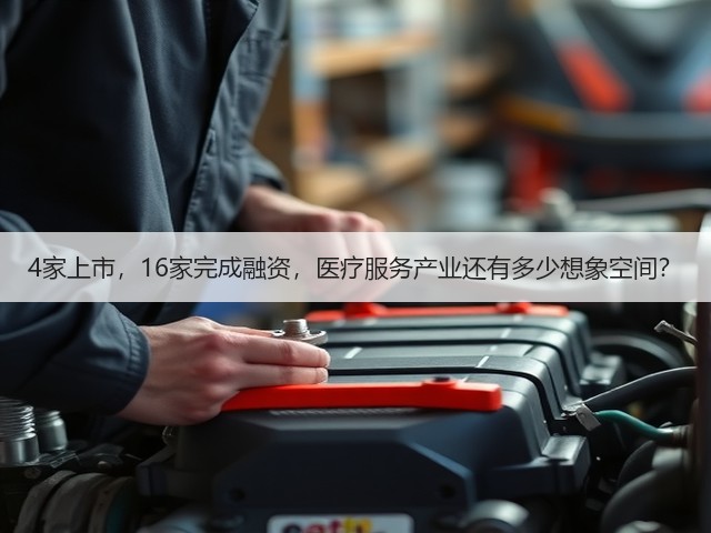 4家上市,16家完成融资,医疗服务产业还有多少想象空间?(图1) 4家上市,16家完成融资,医疗服务产业还有多少想象空间?(图1)