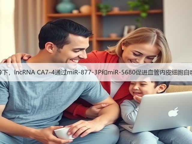 高糖诱导下,lncRNA CA7-4通过miR-877-3P和miR-5680促进血管内皮细胞自噬和凋亡(图2) 高糖诱导下,lncRNA CA7-4通过miR-877-3P和miR-5680促进血管内皮细胞自噬和凋亡(图2)