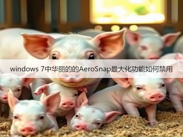 windows 7中华丽的的AeroSnap最大化功能如何禁用(图3) windows 7中华丽的的AeroSnap最大化功能如何禁用(图3)